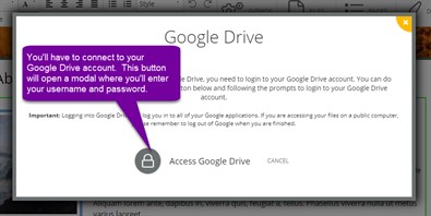 Access Google Drive